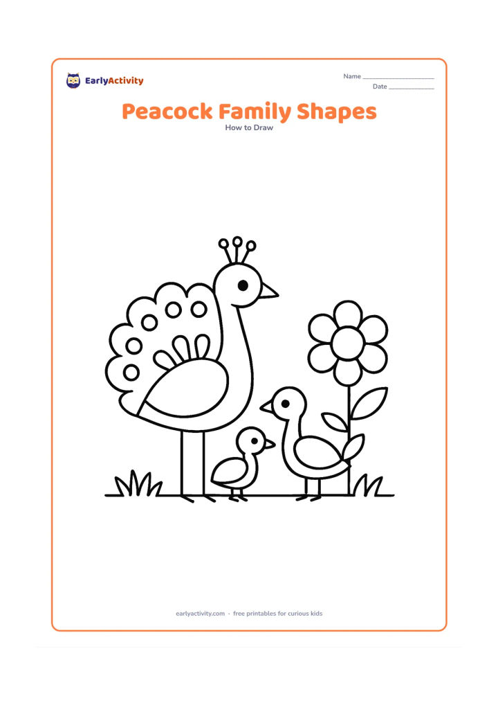 Worksheet: One large adult peacock stands beside two smaller peafowl, all made from simple circles, ovals, curved necks and fan shapes. Place them on a grassy line with one large flower.