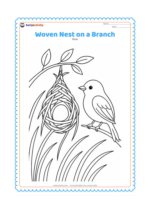 Colouring page: A parent bird perches beside a carefully woven hanging nest attached to a thin branch. Include several long grasses woven around the nest and a few leaves in the background.