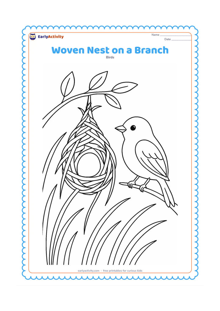 Colouring page: A parent bird perches beside a carefully woven hanging nest attached to a thin branch. Include several long grasses woven around the nest and a few leaves in the background.