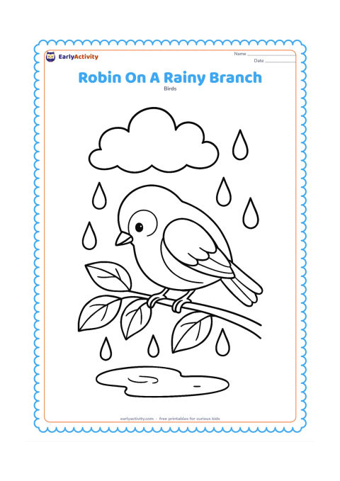 Colouring page: Draw a robin sheltering on a leafy branch during a gentle shower, with large raindrops, a puddle below and a rounded cloud overhead. Show the bird looking down at the puddle.