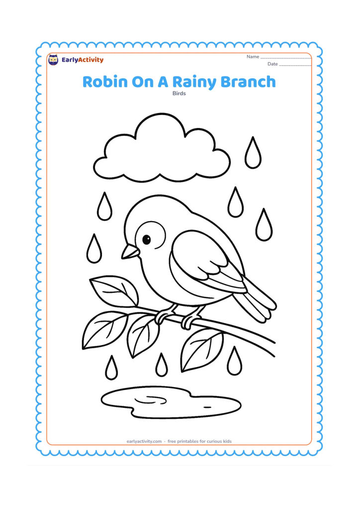 Colouring page: Draw a robin sheltering on a leafy branch during a gentle shower, with large raindrops, a puddle below and a rounded cloud overhead. Show the bird looking down at the puddle.