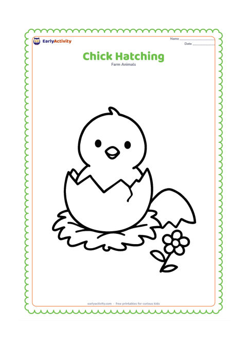 Colouring page: Draw a chick emerging from a large cracked egg, with the top shell resting beside it. Add a small nest underneath and one simple flower.