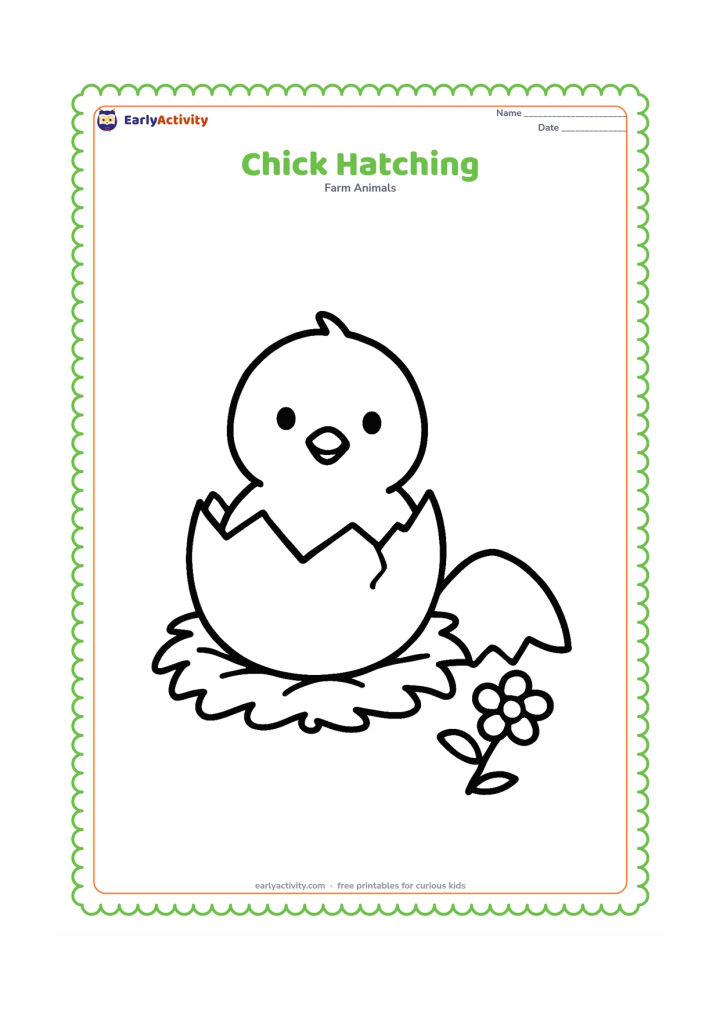 Colouring page: Draw a chick emerging from a large cracked egg, with the top shell resting beside it. Add a small nest underneath and one simple flower.