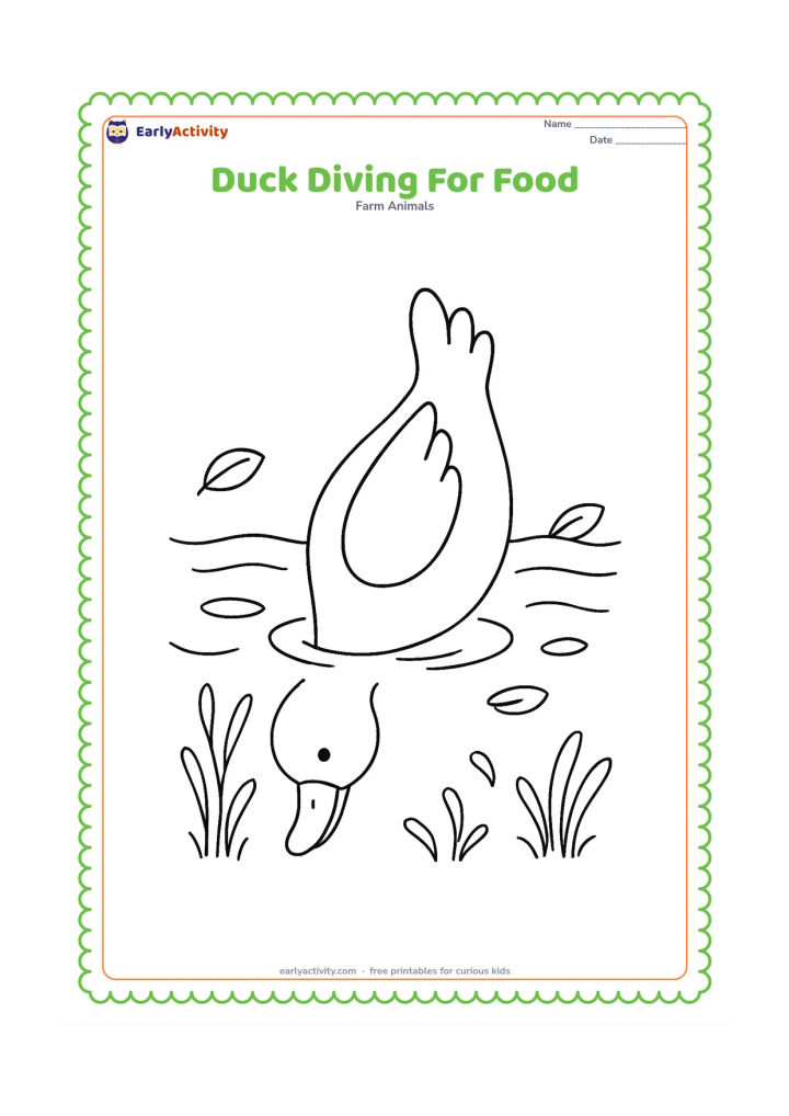 Colouring page: Show a duck with its head and bill underwater and its raised tail above the pond surface. Add curved water lines, small underwater plants and a few floating leaves.