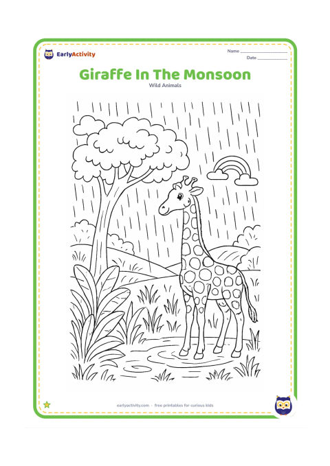 Colouring page: A giraffe stands beneath a broad tree during a gentle Indian monsoon shower. Show rain lines, puddle ripples, lush grasses, banana-like leaves, distant fields and a small rainbow, with…