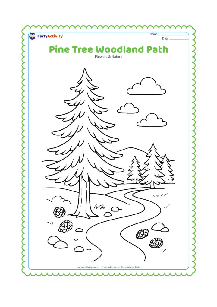 Colouring page: Draw a tall pine beside a winding woodland path, with smaller pine trees behind it, a few cones on the ground, rocks, and simple distant hills. Keep the main tree dominant.