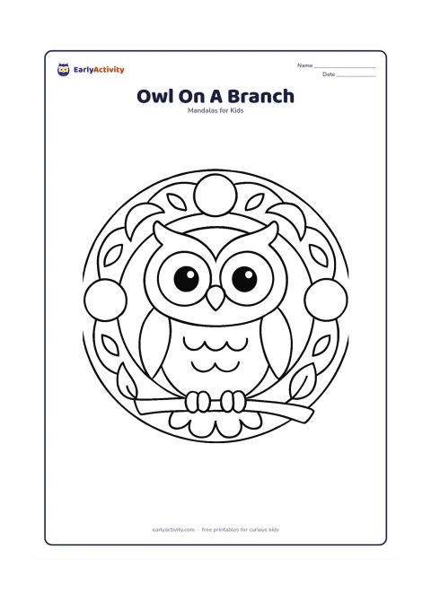 Colouring page: A wide-eyed owl sits on a short branch at the centre of a circular mandala. Add large moon-like circles, simple leaves and repeated feather arcs around the bird.