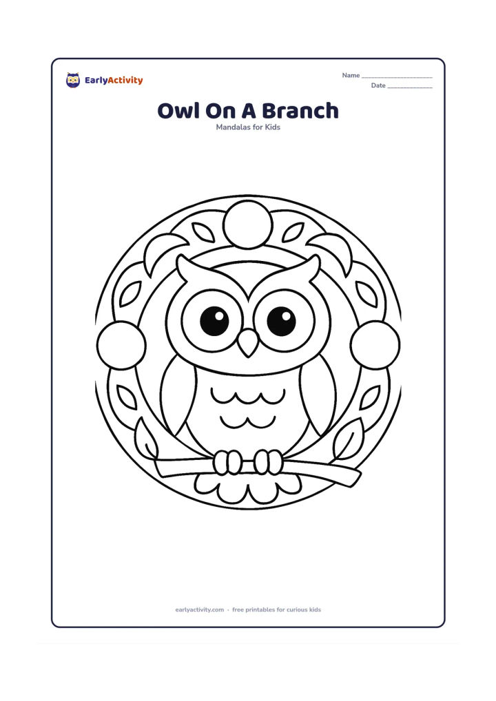Colouring page: A wide-eyed owl sits on a short branch at the centre of a circular mandala. Add large moon-like circles, simple leaves and repeated feather arcs around the bird.