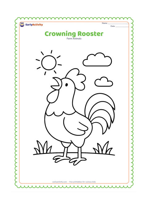 Colouring page: Draw a large rooster standing upright with its beak open as if crowing. Add a small sun, two clouds and a few simple blades of grass behind it.