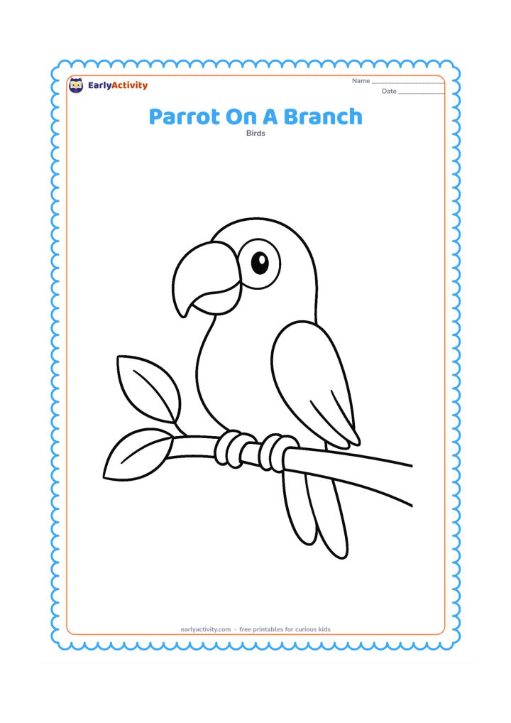 Colouring page: Draw a single parrot sitting on one thick, gently curved branch, with both feet visible gripping it and two large leaves nearby. Keep the bird and branch centred with plenty of open space.