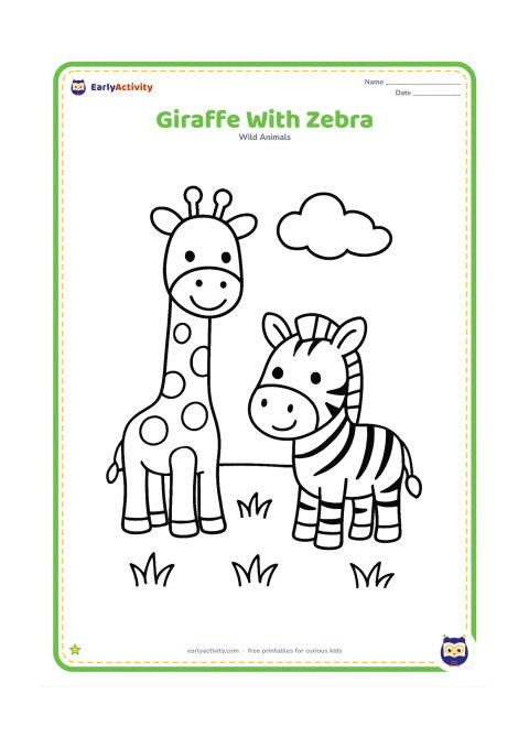 Colouring page: A giraffe and a friendly zebra stand side by side in a grassy field, both facing the viewer. Add one cloud and a few simple grass tufts.