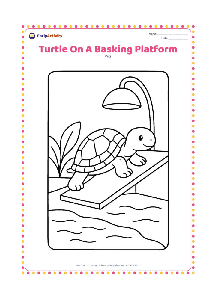 Colouring page: A pet turtle climbs onto a sloped basking platform inside its habitat. Add a water area below, a curved lamp above without any cord details, and a few broad plants.