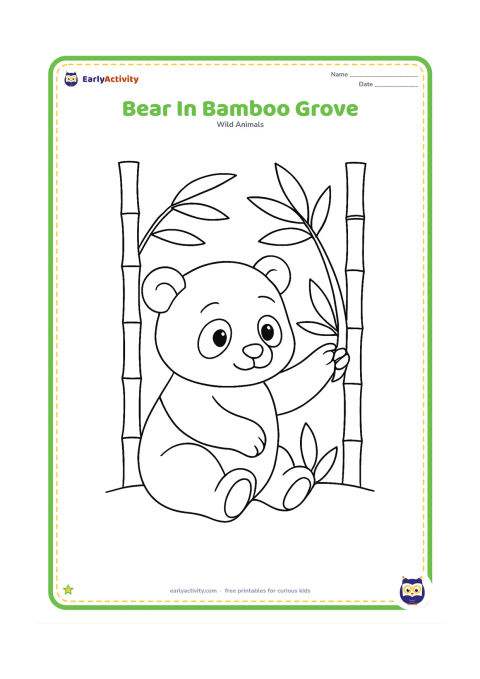 Colouring page: A panda bear sits among bamboo stalks and reaches for a leafy bamboo branch, with several broad leaves and a curved ground line.