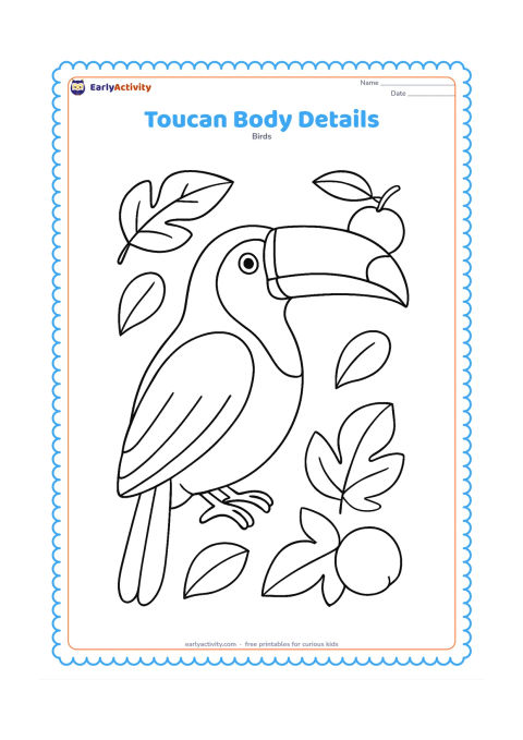 Colouring page: A large side-view toucan fills most of the page, with its bill, eye, wing, tail, and feet clearly separated. Surround it with a few enlarged leaves and fruit shapes, leaving open areas…