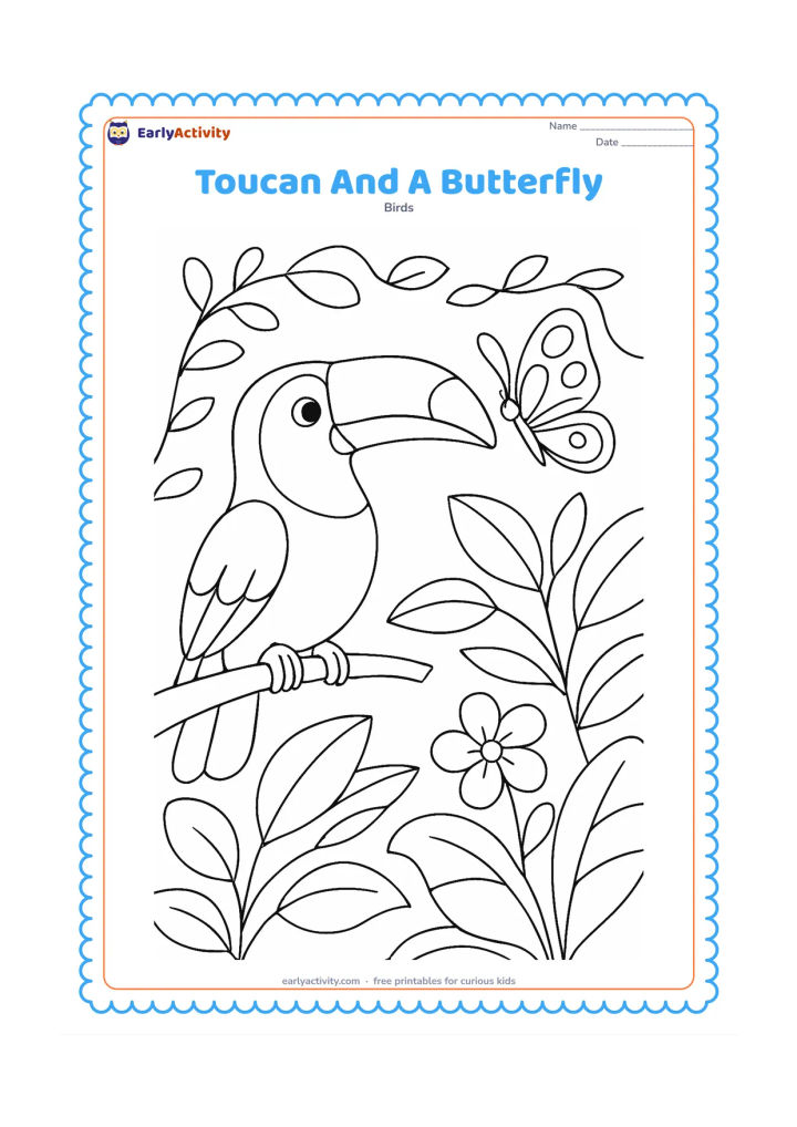 Colouring page: A toucan stands on a branch watching a large butterfly flutter near the tip of its bill. Add flowers, broad leaves, and a few curved vines to create a friendly forest edge scene.