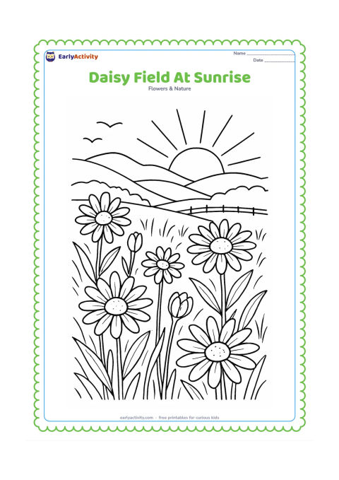 Colouring page: Draw a broad field of daisies opening toward a rising sun, with layered hills, long grasses, a distant fence and a few birds in the sky. Show several flowers at different stages from bud…