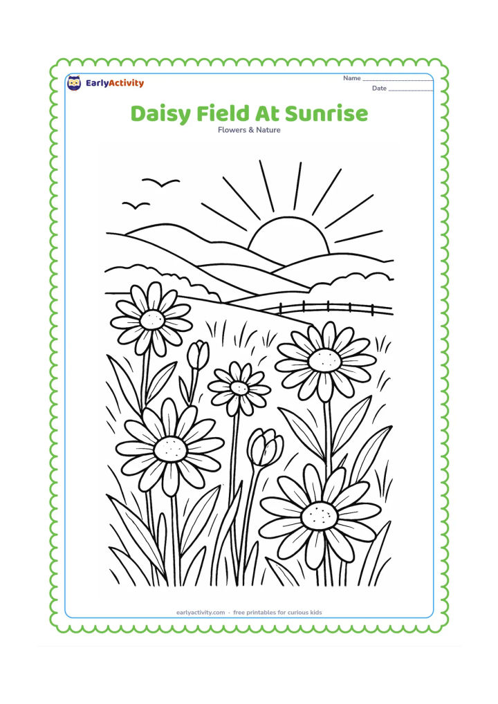 Colouring page: Draw a broad field of daisies opening toward a rising sun, with layered hills, long grasses, a distant fence and a few birds in the sky. Show several flowers at different stages from bud…