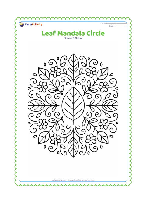 Colouring page: A symmetrical circular design made from repeated leaves, veins, stems, flowers and small curved nature patterns surrounds a clear central leaf.