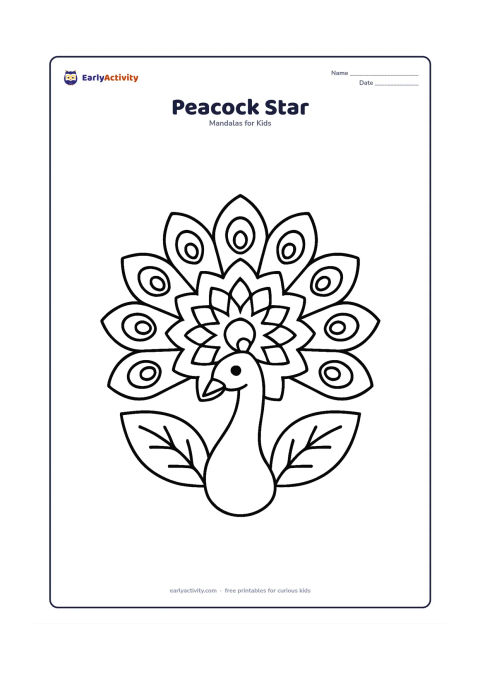 Colouring page: Place a large star mandala at the centre of an open peacock tail, with broad repeated feather sections around it. Add a simple peacock head and neck below and two large leaves at the sides.