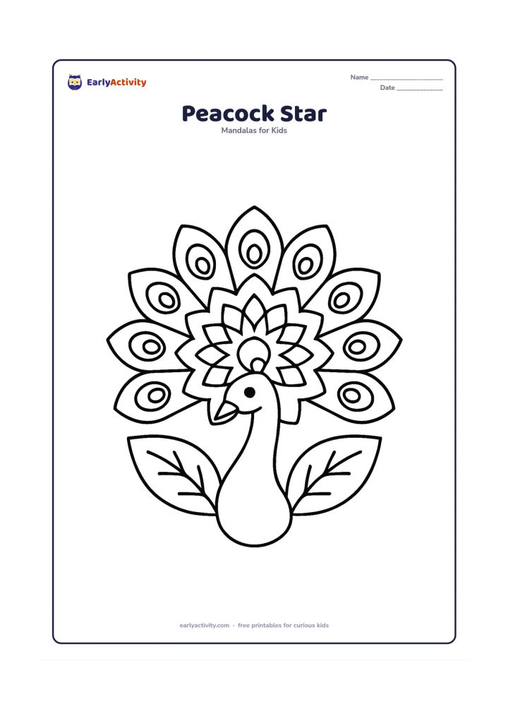 Colouring page: Place a large star mandala at the centre of an open peacock tail, with broad repeated feather sections around it. Add a simple peacock head and neck below and two large leaves at the sides.