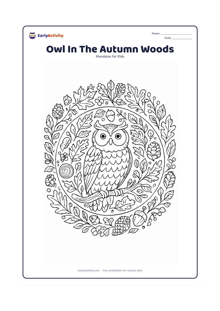 Colouring page: An owl perches on a twisting branch in the centre of a round autumn mandala. Surround it with layered feathers, acorns, curled leaves, tree rings, berries, pinecones and repeated…
