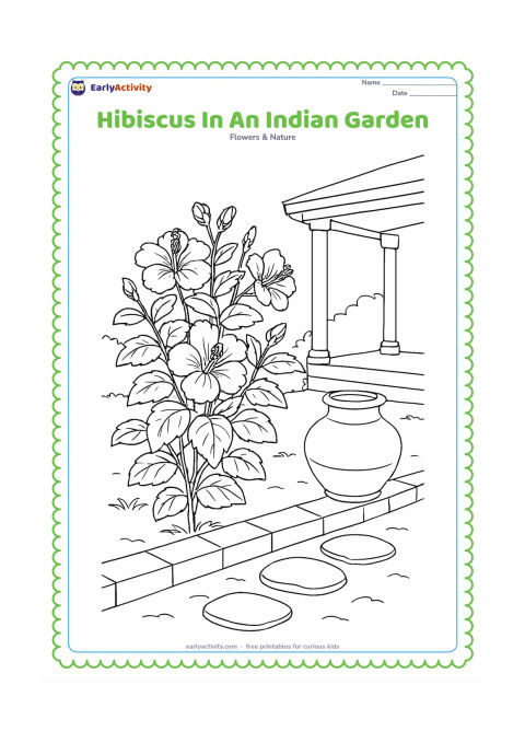 Colouring page: Draw a mature hibiscus shrub in an Indian garden beside a low brick border, a clay water pot, stepping stones, and a simple veranda with columns. Include several blooms and buds at…