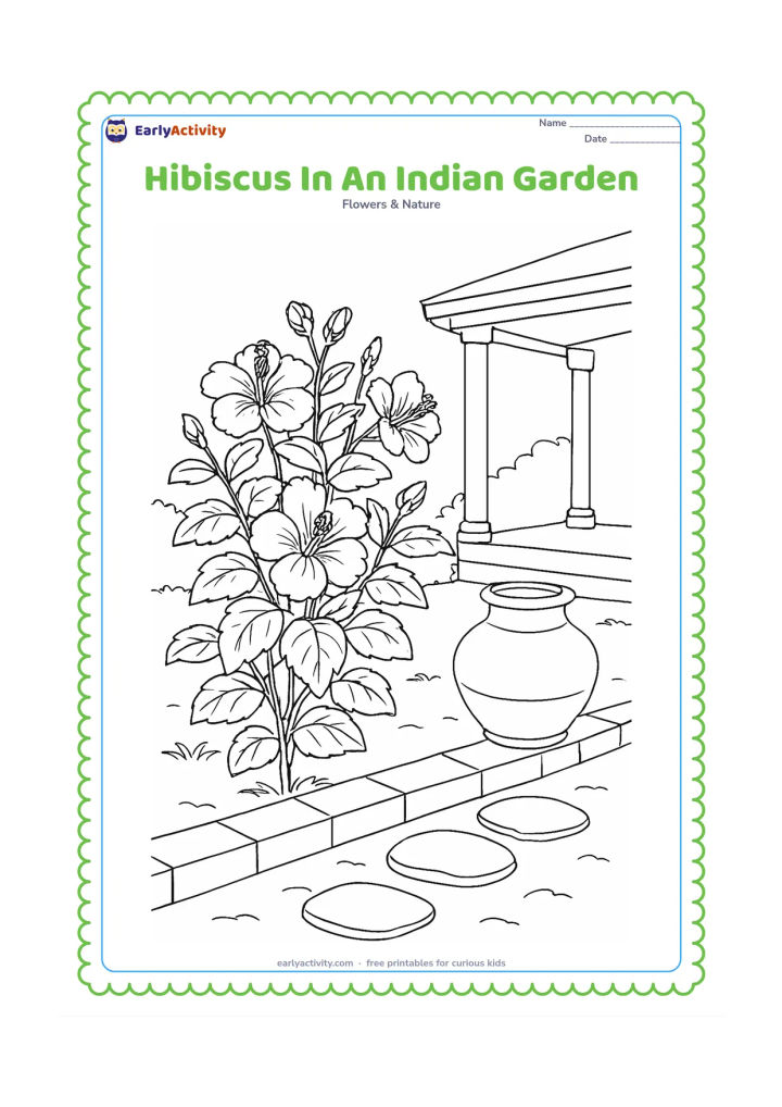 Colouring page: Draw a mature hibiscus shrub in an Indian garden beside a low brick border, a clay water pot, stepping stones, and a simple veranda with columns. Include several blooms and buds at…