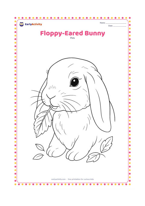 Colouring page: Draw a detailed portrait of a floppy-eared bunny in three-quarter view, showing layered ear folds, whiskers, soft cheek fur, and clearly shaped front teeth while it gently nibbles a…