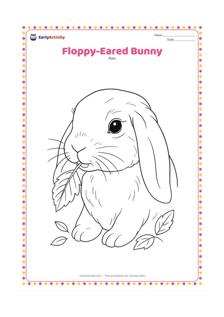 Colouring page: Draw a detailed portrait of a floppy-eared bunny in three-quarter view, showing layered ear folds, whiskers, soft cheek fur, and clearly shaped front teeth while it gently nibbles a…