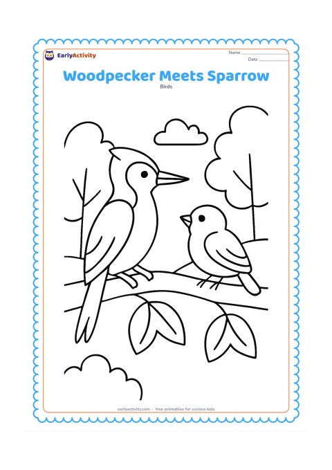 Colouring page: A woodpecker and a small sparrow sit on separate sides of the same sturdy branch, facing one another. Add a few large leaves and a simple woodland background.