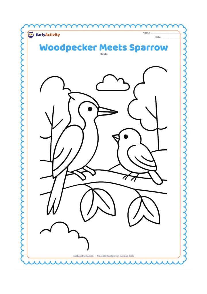 Colouring page: A woodpecker and a small sparrow sit on separate sides of the same sturdy branch, facing one another. Add a few large leaves and a simple woodland background.