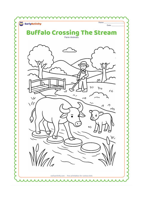 Colouring page: Draw a buffalo carefully crossing a shallow stream over a line of stepping stones, with a calf waiting on the bank. Include reeds, a wooden footbridge, a farmer, trees and gentle hills.
