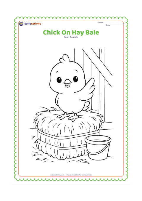 Colouring page: Draw a chick perched on a hay bale with one wing raised. Add loose hay strands, a farm shed wall, and a small bucket nearby.