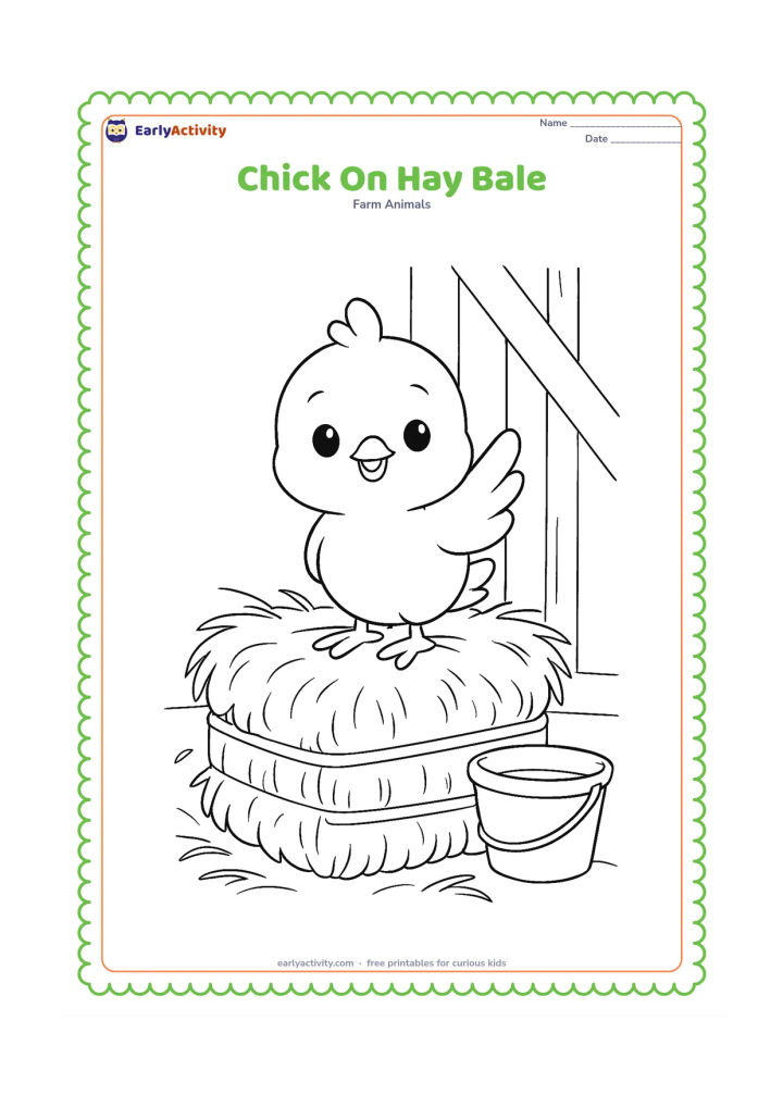 Colouring page: Draw a chick perched on a hay bale with one wing raised. Add loose hay strands, a farm shed wall, and a small bucket nearby.