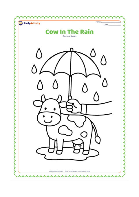 Colouring page: A friendly cow stands under a simple umbrella held by a farmer's hand from the edge of the picture, with large raindrops falling around them. Add a small puddle beneath the cow.