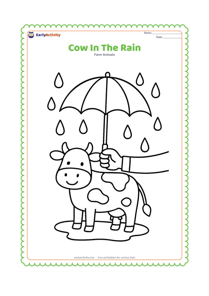 Colouring page: A friendly cow stands under a simple umbrella held by a farmer's hand from the edge of the picture, with large raindrops falling around them. Add a small puddle beneath the cow.