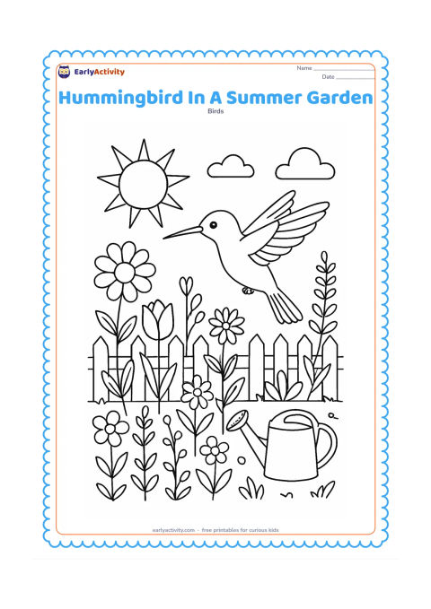 Colouring page: A hummingbird hovers over a sunny garden bed filled with different flowers, tall stems and leafy plants. Place a low fence, a watering can and a few clouds in the background.
