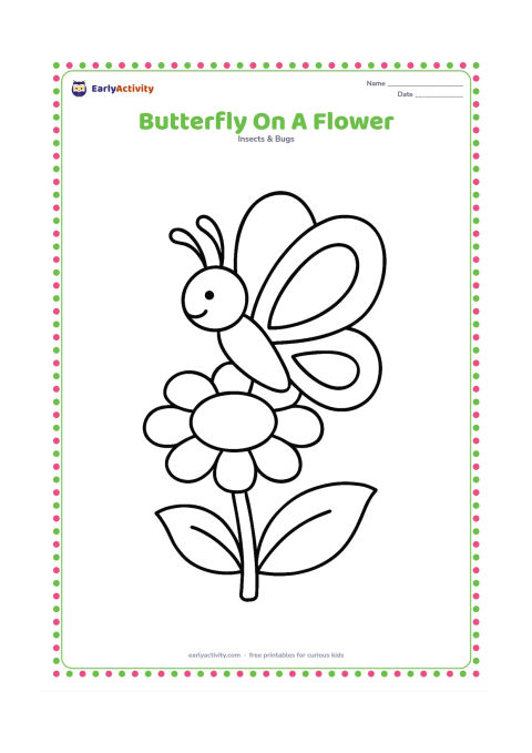 Colouring page: Draw a large butterfly resting on the top of one round flower, with a thick stem and two broad leaves. Show the butterfly from the side while keeping both wings clearly visible.