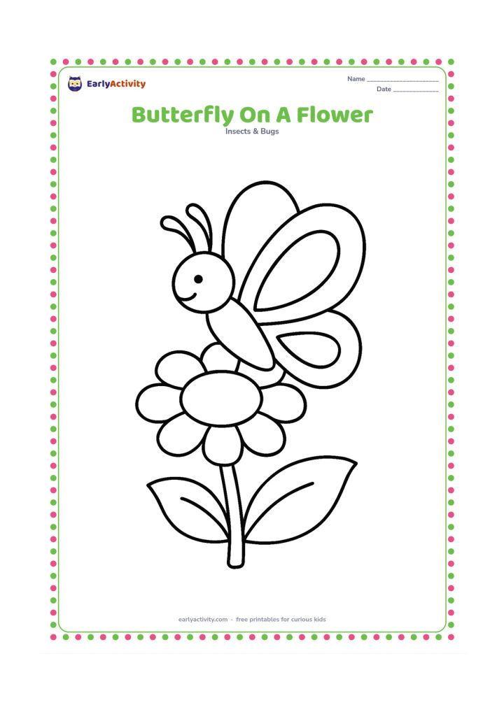 Colouring page: Draw a large butterfly resting on the top of one round flower, with a thick stem and two broad leaves. Show the butterfly from the side while keeping both wings clearly visible.