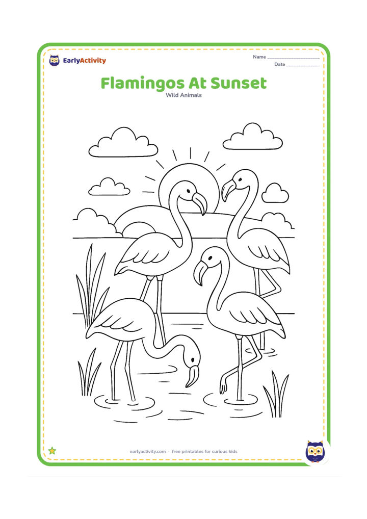 Colouring page: A small group of flamingos stands in a shallow pond at sunset, with one bird bending to drink and another lifting one leg. Add reeds, water ripples and round trees in the distance.