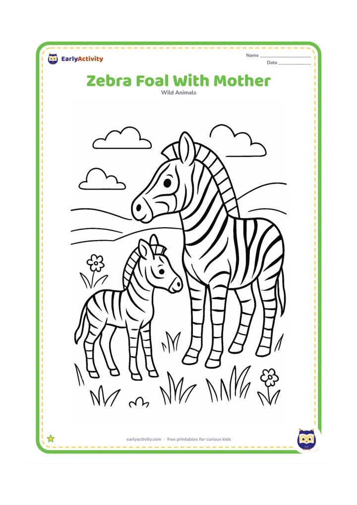 Colouring page: Draw a zebra mare standing protectively beside a small foal, with both facing left. Place them among medium-height grass, small flowers and a distant rolling grassland.