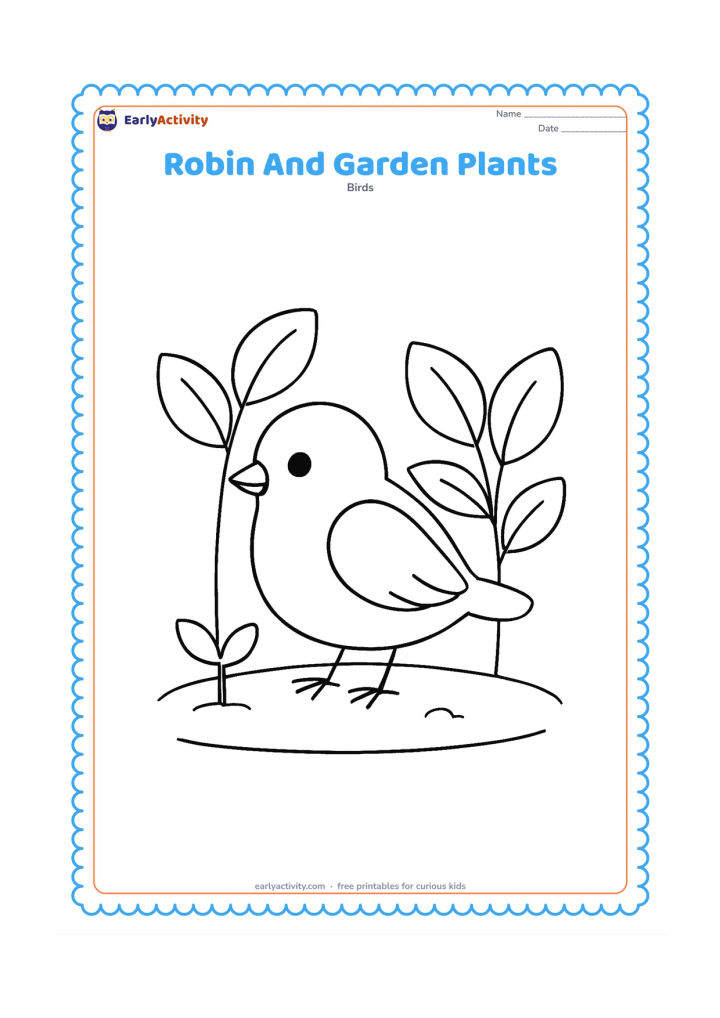 Colouring page: Draw a robin standing between two large garden plants with broad leaves, looking toward a small sprout. Place the scene on a simple patch of soil.