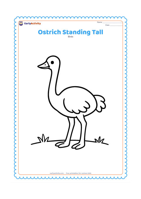 Colouring page: A single ostrich stands in profile with its long neck upright, large rounded body, two-toed feet and small folded wings. Place it on a nearly empty patch of ground with one or two tufts…