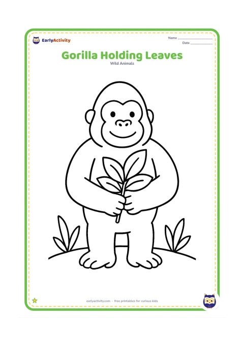 Colouring page: A gorilla stands on two feet holding a small bunch of broad leaves in front of its chest. Include two simple plants and a curved ground line.