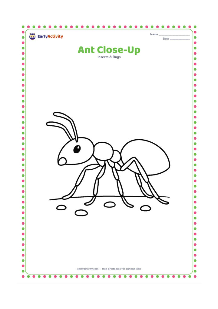 Colouring page: A single ant fills most of the page in a clear side view, showing its head, thorax, abdomen, six legs, and two feelers. Add a few enlarged ground grains near its feet.
