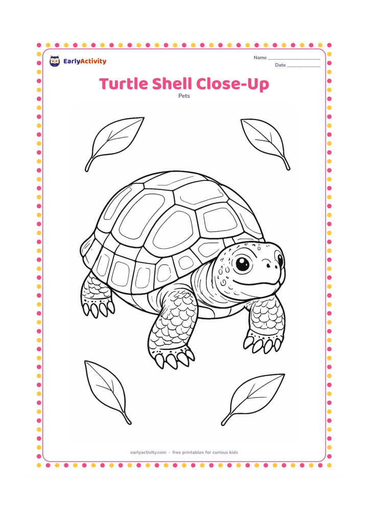 Colouring page: A pet turtle fills most of the page in a three-quarter view, with a richly segmented shell, textured skin, visible claws, beak-like mouth and small tail. Add a few leaves framing the…
