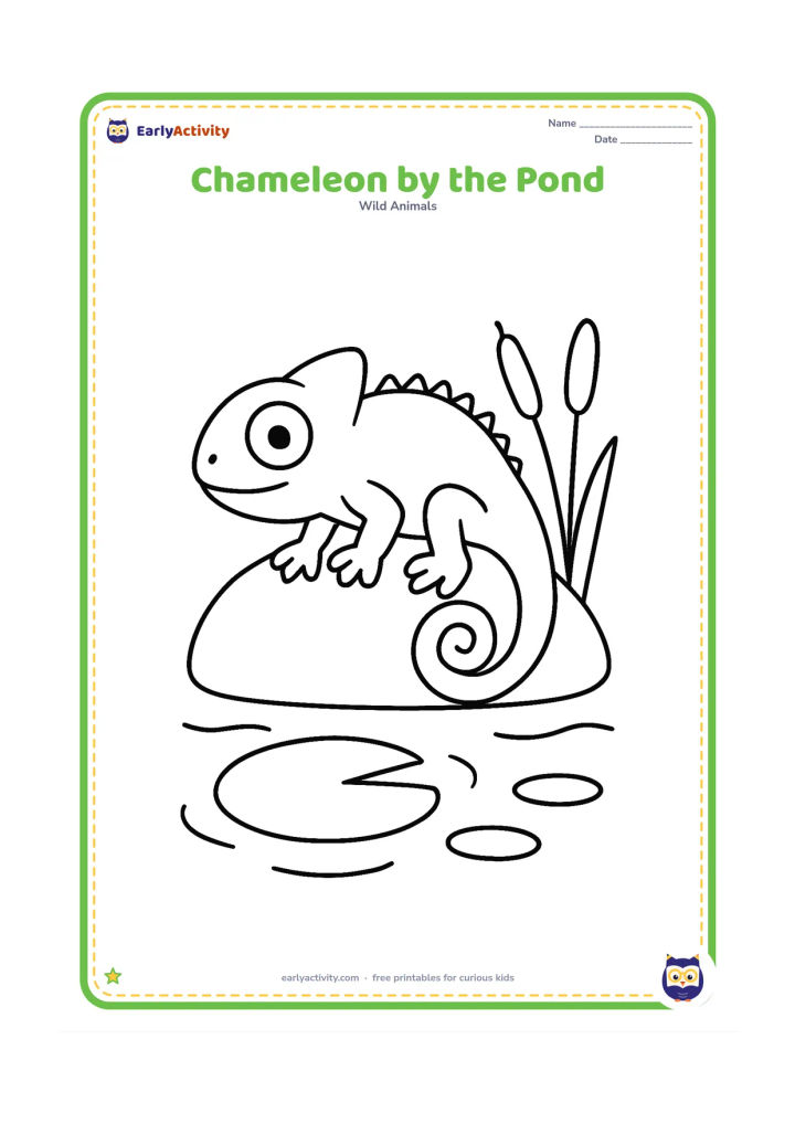 Colouring page: Draw one friendly chameleon resting on a large, smooth stone beside a small pond, with a broad lily pad, two simple reeds and a few rounded ripples. Use a clear side view with a large…