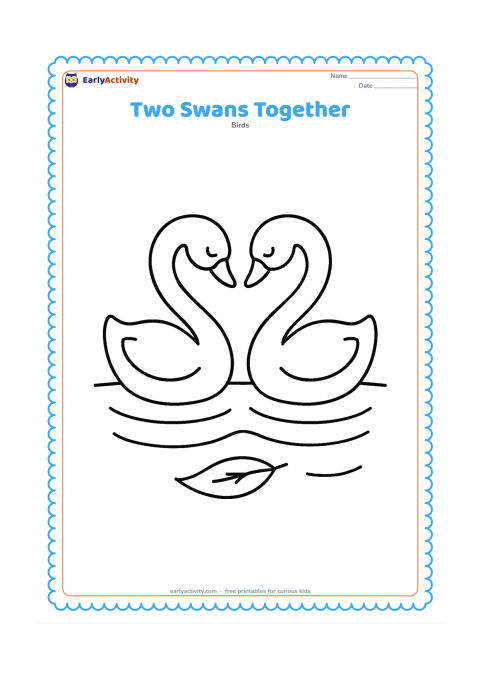 Colouring page: Two swans face each other on a quiet pond, with their curved necks forming a gentle heart-like shape. Add three broad ripples beneath them and one floating leaf.