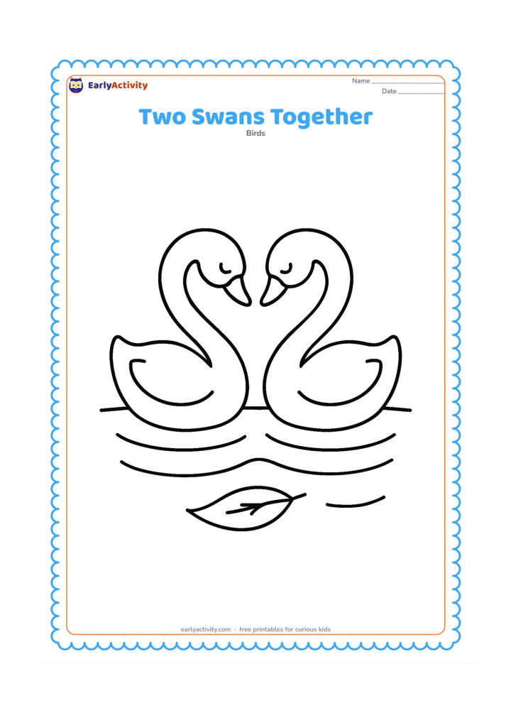 Colouring page: Two swans face each other on a quiet pond, with their curved necks forming a gentle heart-like shape. Add three broad ripples beneath them and one floating leaf.