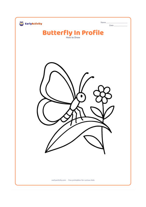 Worksheet: Show a side-view butterfly resting on a curved leaf, with one large visible wing, a segmented body, head, antennae and six simple legs. Add a second leaf and a small flower behind it.